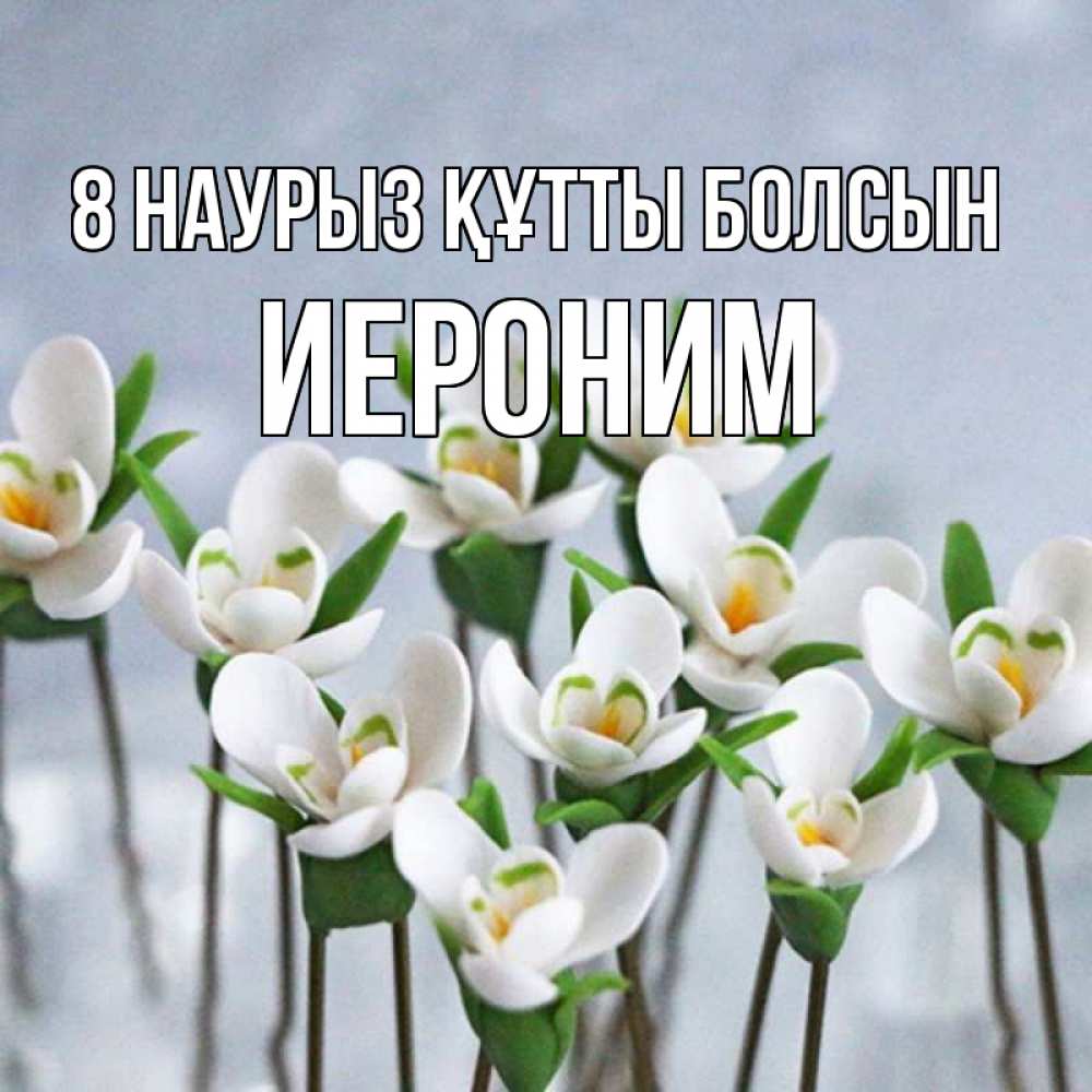 Күн сайын ашық хат с именем, Иероним 8 наурыз құтты болсын весенние цветы Онлайн тегін жүктеп алу тілектері бар керемет карта 