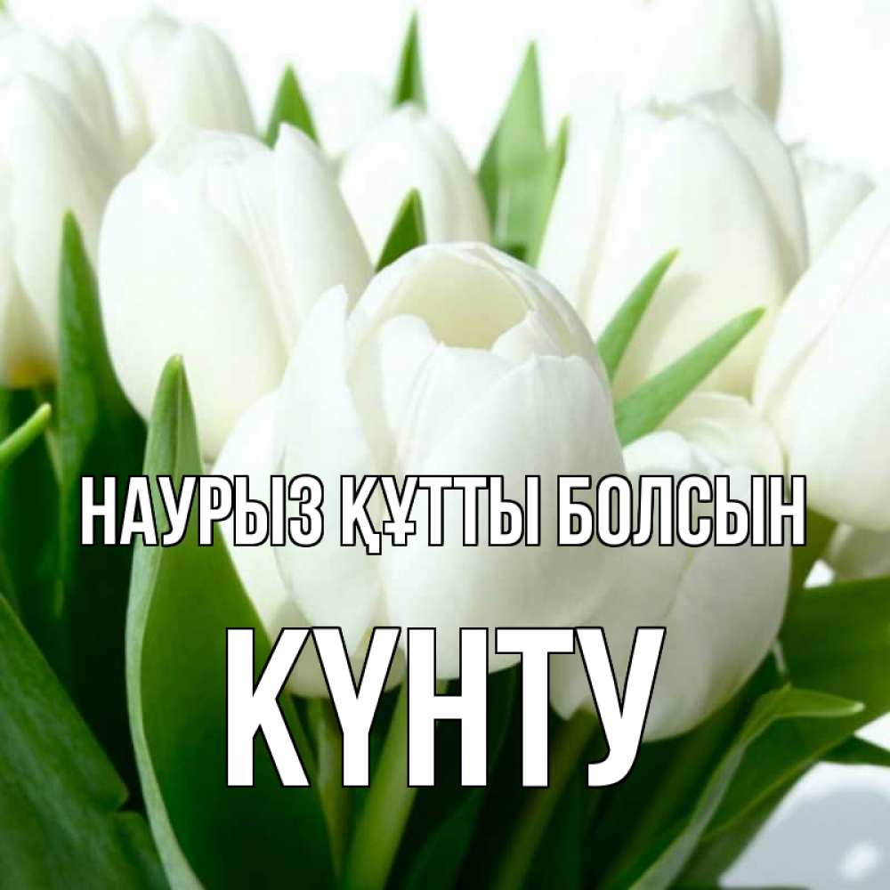 Күн сайын ашық хат с именем, Күнту Наурыз құтты болсын цветы Онлайн тегін жүктеп алу тілектері бар керемет карта 