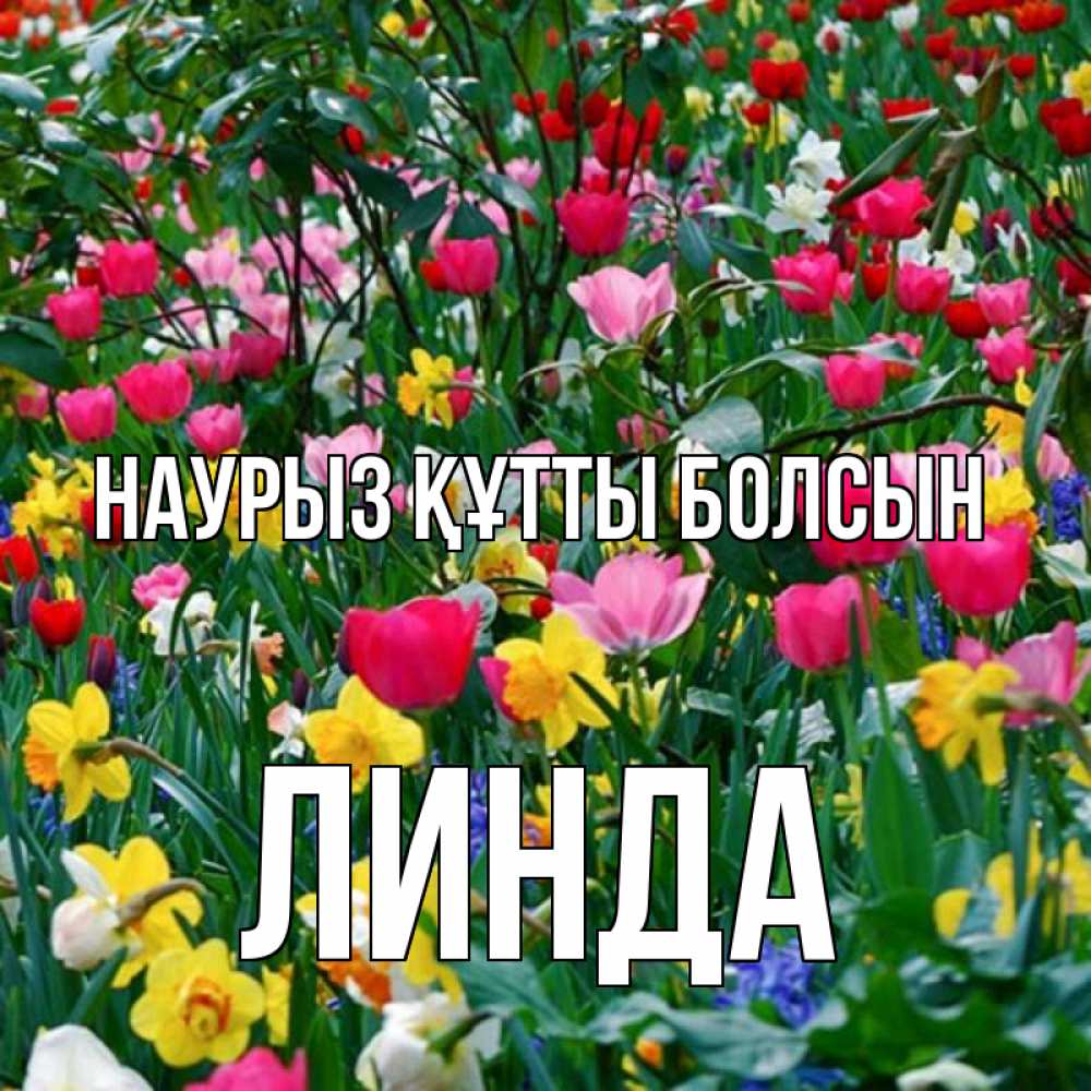 Күн сайын ашық хат с именем, Линда Наурыз құтты болсын с наурызом поздравления для женщины Онлайн тегін жүктеп алу тілектері бар керемет карта 