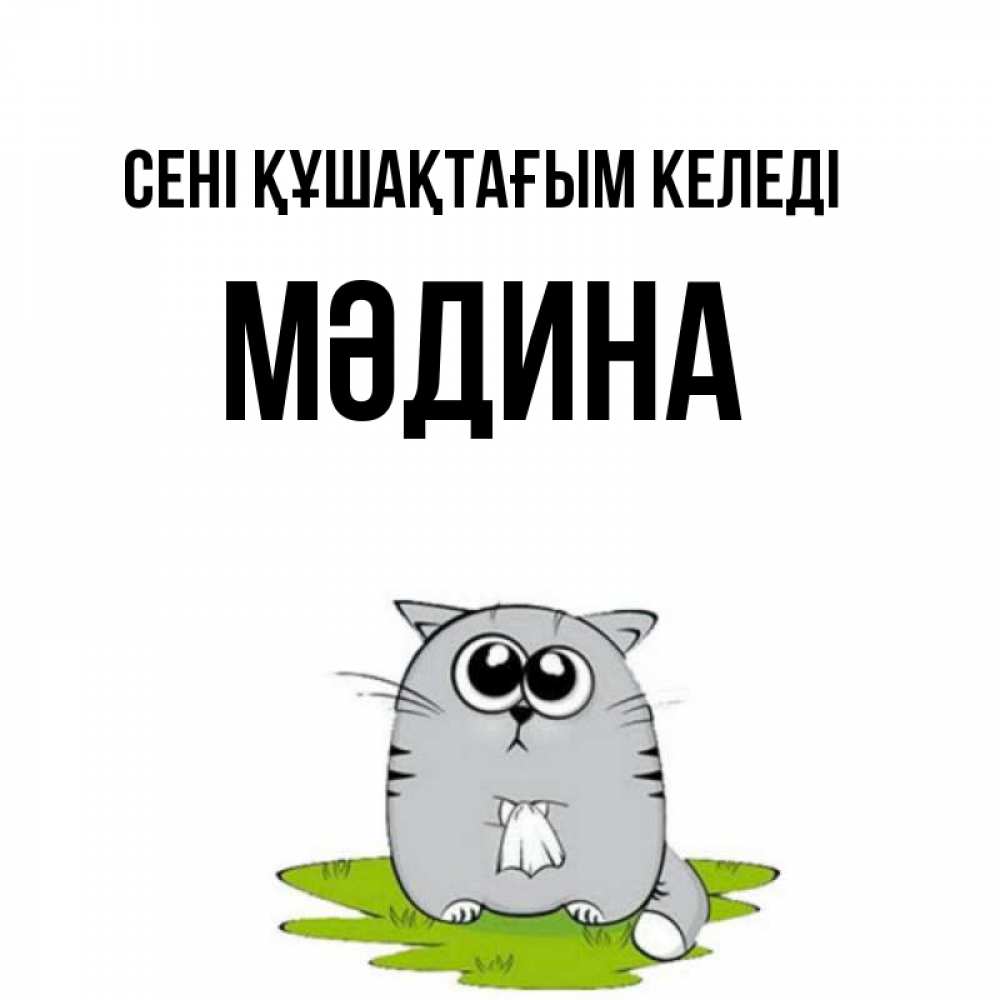 Күн сайын ашық хат с именем, МӘДИНА сені құшақтағым келеді котик теребит платочек сидя на травке Онлайн тегін жүктеп алу тілектері бар керемет карта 