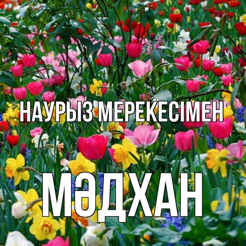 Күн сайын ашық хат с именем, МӘДХАН Наурыз мерекесімен с наурызом праздником весны поздравления для женщины Онлайн тегін жүктеп алу тілектері бар керемет карта 