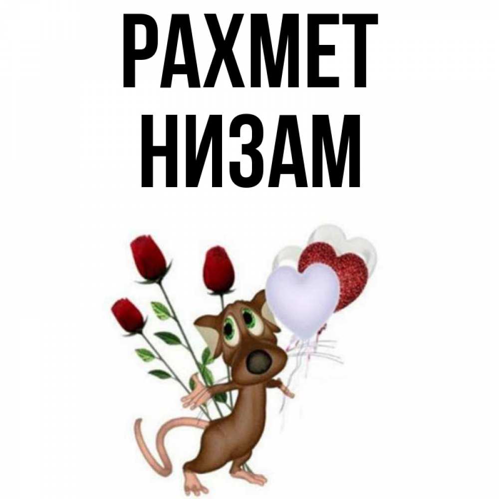 Күн сайын ашық хат с именем, НИЗАМ рахмет песик с шариками в форме сердец Онлайн тегін жүктеп алу тілектері бар керемет карта 