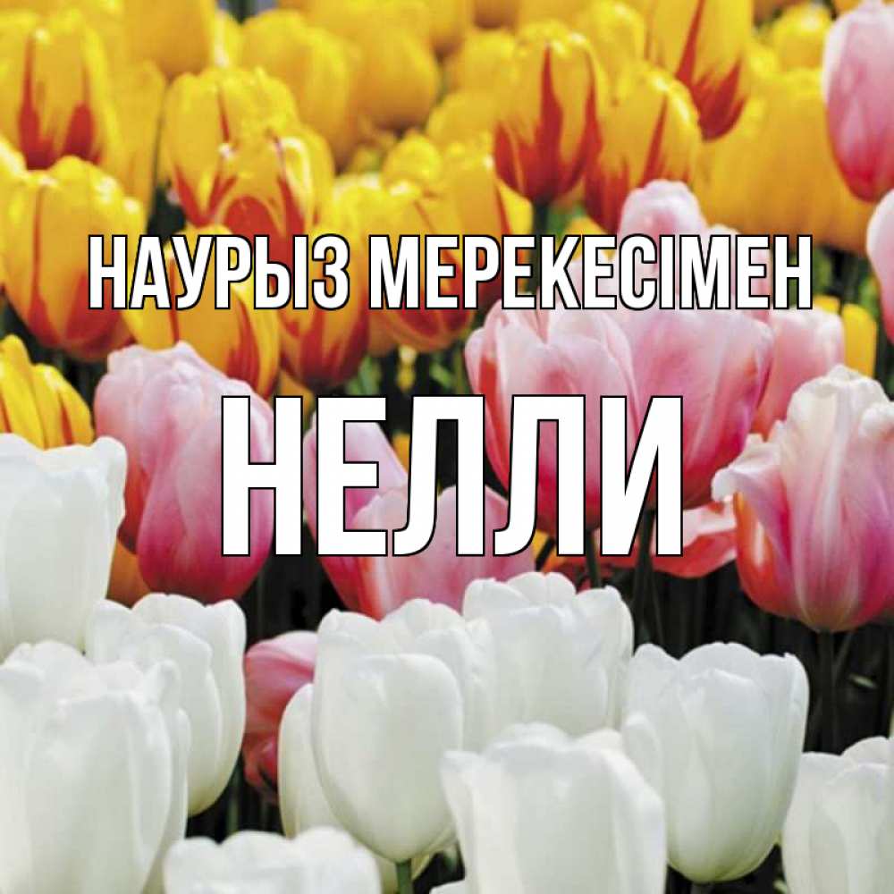 Күн сайын ашық хат с именем, Нелли Наурыз мерекесімен разноцветные цветы Онлайн тегін жүктеп алу тілектері бар керемет карта 