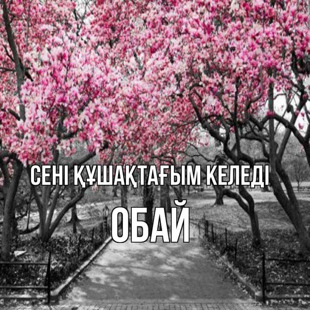 Күн сайын ашық хат с именем, ОБАЙ сені құшақтағым келеді обработанное фото Онлайн тегін жүктеп алу тілектері бар керемет карта 