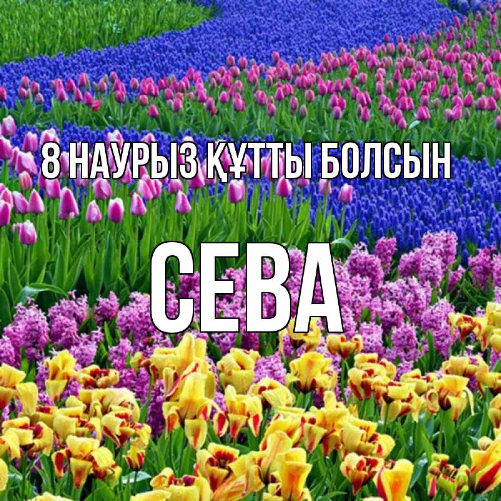 Күн сайын ашық хат с именем, Сева 8 наурыз құтты болсын цветы Онлайн тегін жүктеп алу тілектері бар керемет карта 