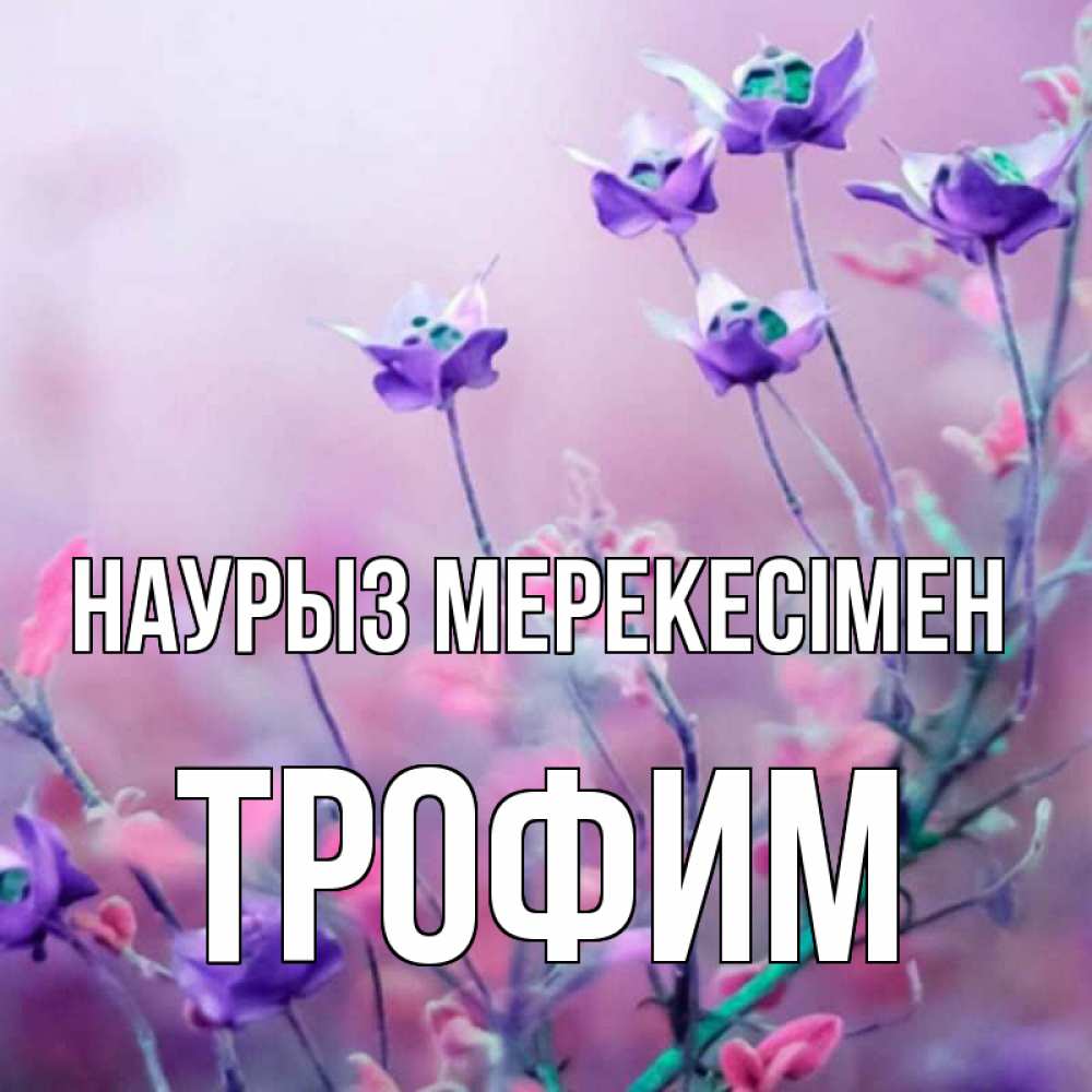 Күн сайын ашық хат с именем, Трофим Наурыз мерекесімен международный женский день 2 Онлайн тегін жүктеп алу тілектері бар керемет карта 