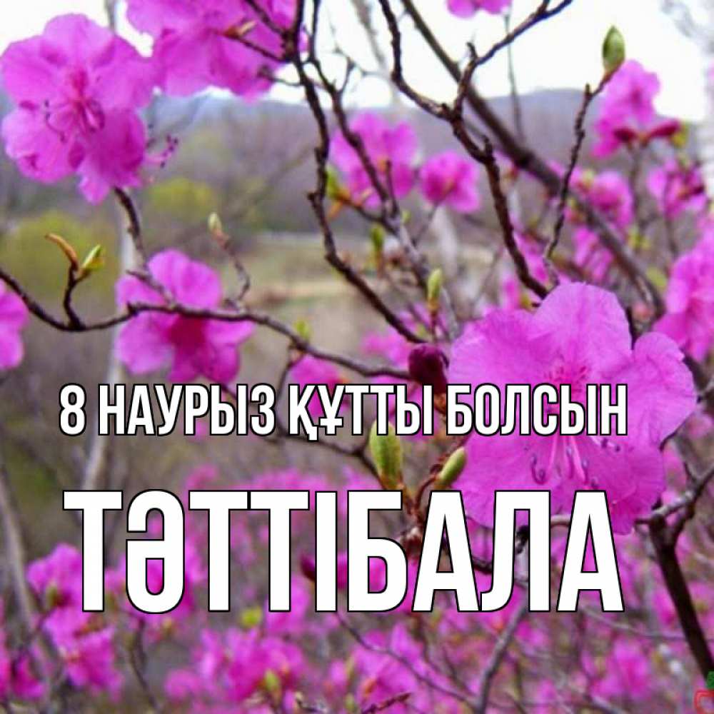 Күн сайын ашық хат с именем, ТӘТТІБАЛА 8 наурыз құтты болсын международный женский день Онлайн тегін жүктеп алу тілектері бар керемет карта 