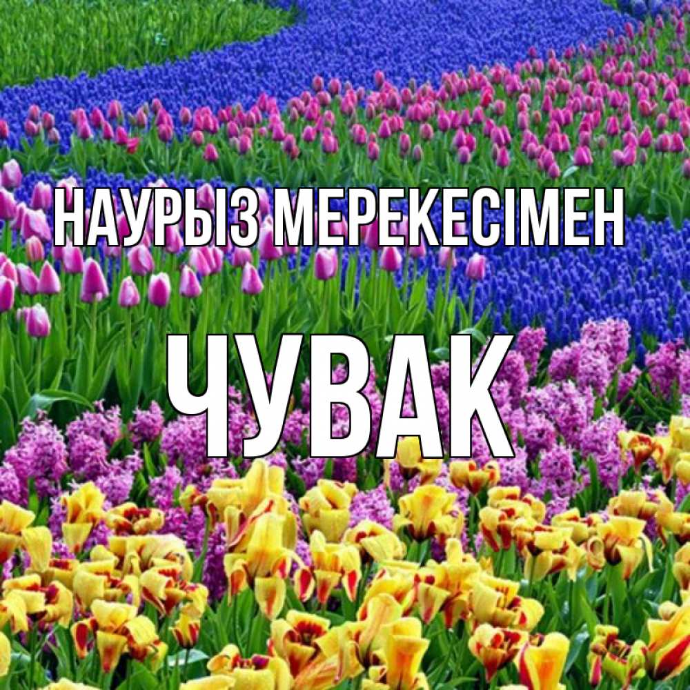 Күн сайын ашық хат с именем, Чувак Наурыз мерекесімен цветы Онлайн тегін жүктеп алу тілектері бар керемет карта 
