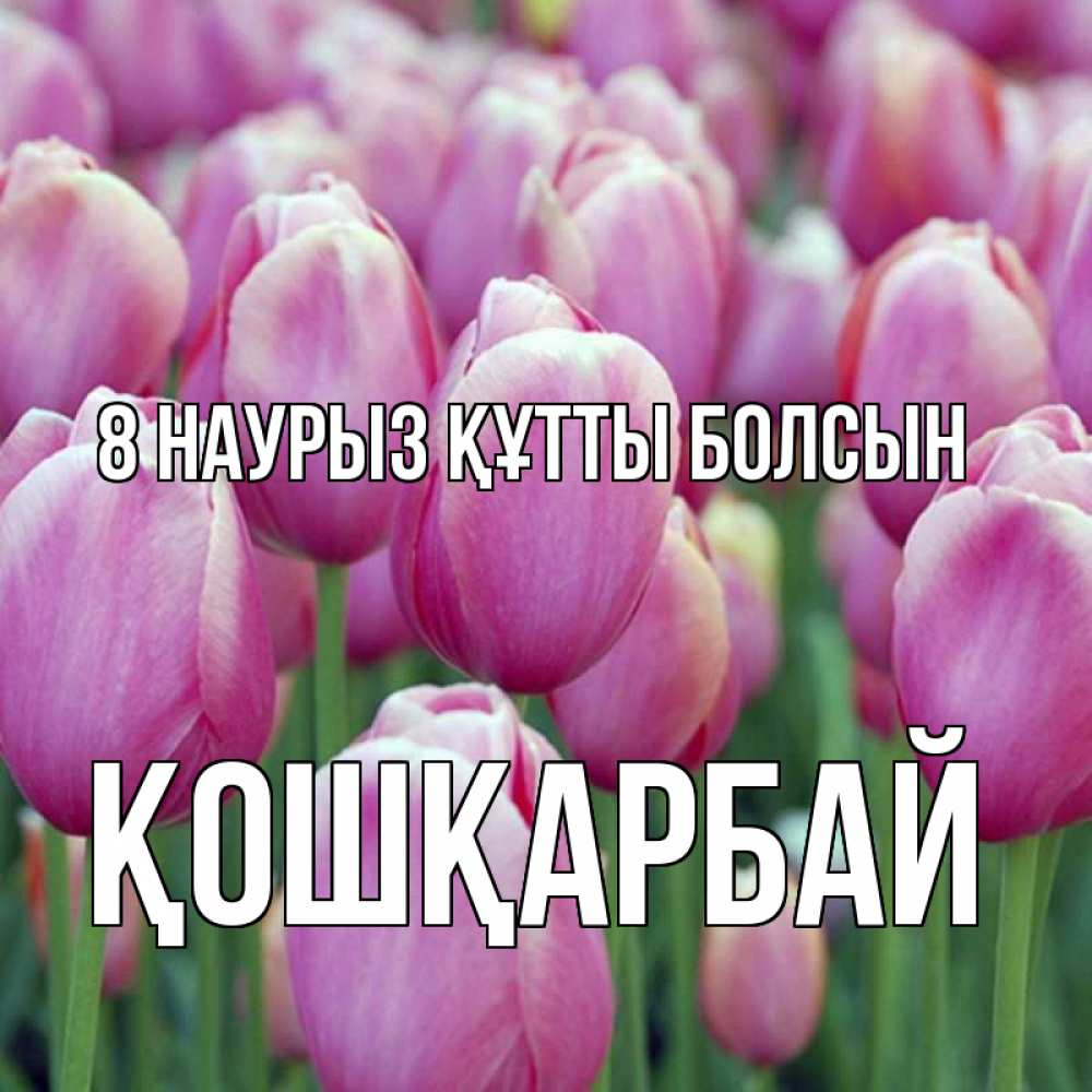 Күн сайын ашық хат с именем, ҚОШҚАРБАЙ 8 наурыз құтты болсын на международный женский день 3 Онлайн тегін жүктеп алу тілектері бар керемет карта 