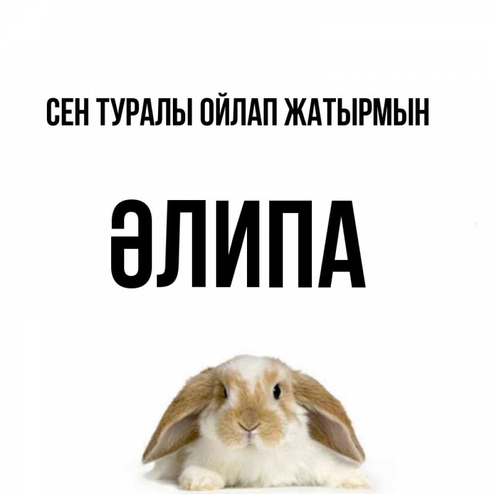 Күн сайын ашық хат с именем, ӘЛИПА Сен туралы ойлап жатырмын подписать своими руками онлайн Онлайн тегін жүктеп алу тілектері бар керемет карта 