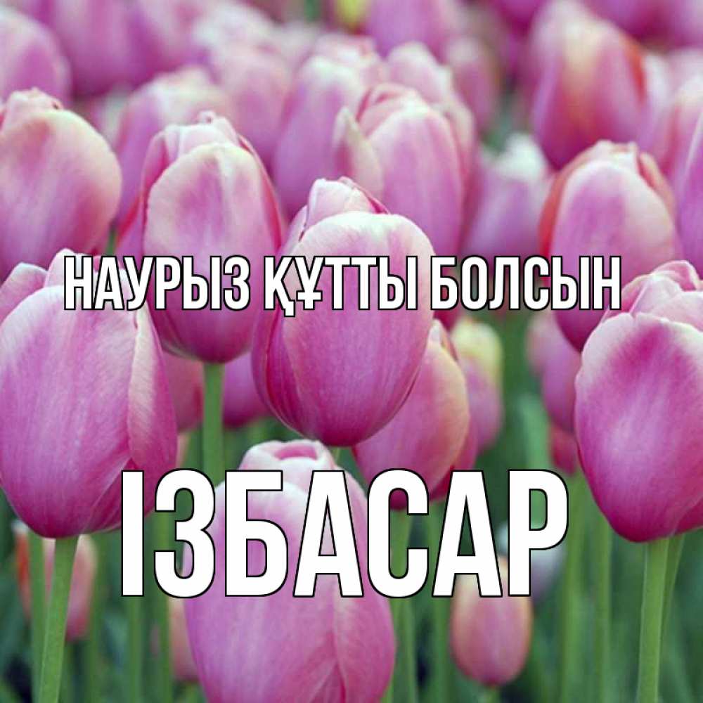Күн сайын ашық хат с именем, Ізбасар Наурыз құтты болсын на наурыз  день 3 Онлайн тегін жүктеп алу тілектері бар керемет карта 