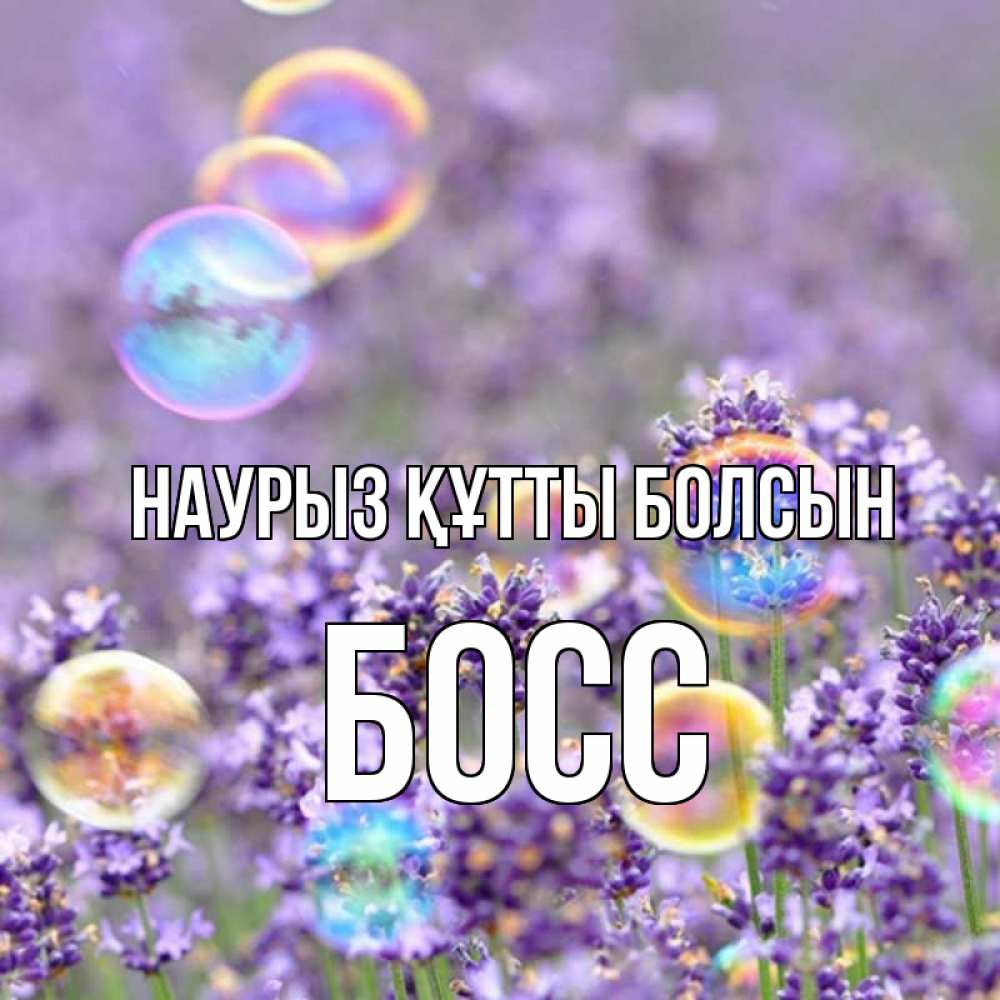 Күн сайын ашық хат с именем, Босс Наурыз құтты болсын цветы Онлайн тегін жүктеп алу тілектері бар керемет карта 