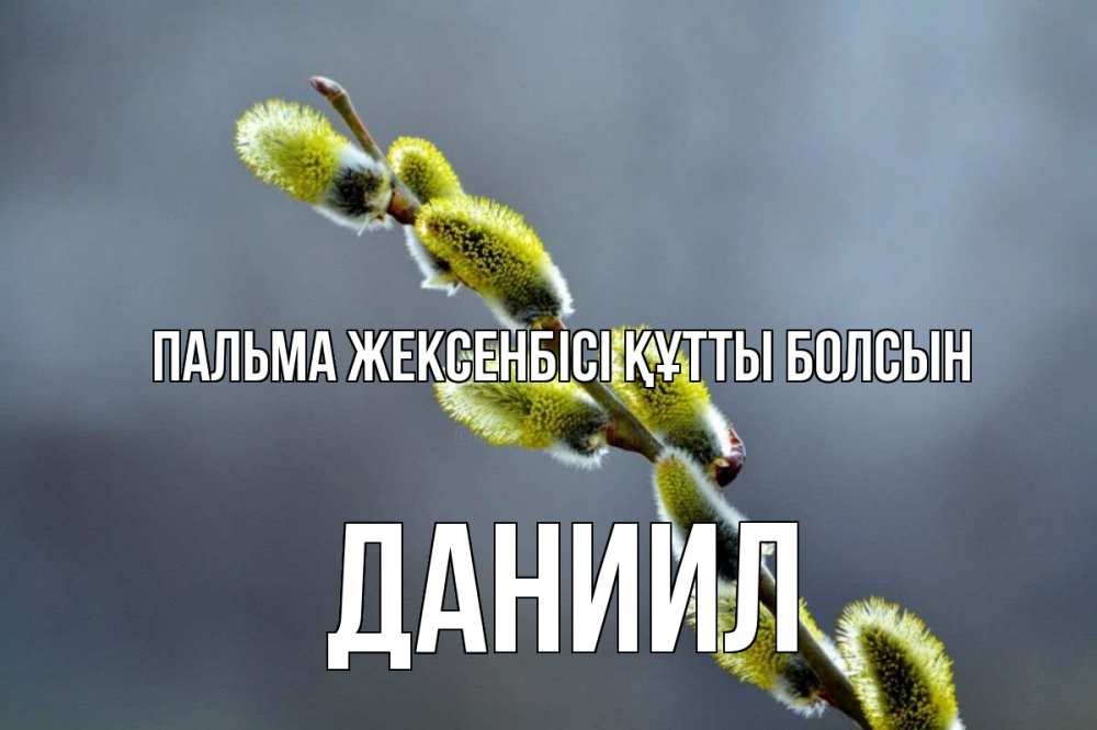 Күн сайын ашық хат с именем, Даниил Пальма жексенбісі құтты болсын верба Онлайн тегін жүктеп алу тілектері бар керемет карта 