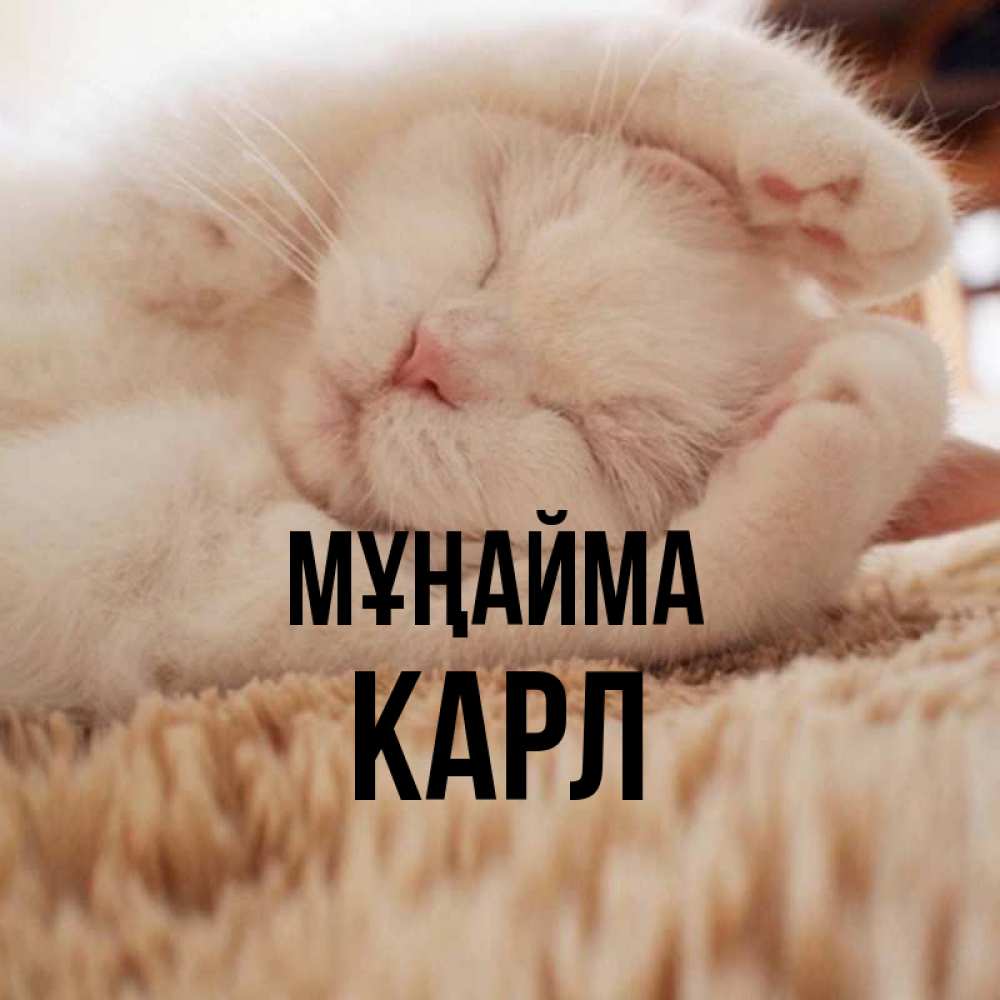 Күн сайын ашық хат с именем, Карл Мұңайма Котенок спит Онлайн тегін жүктеп алу тілектері бар керемет карта 
