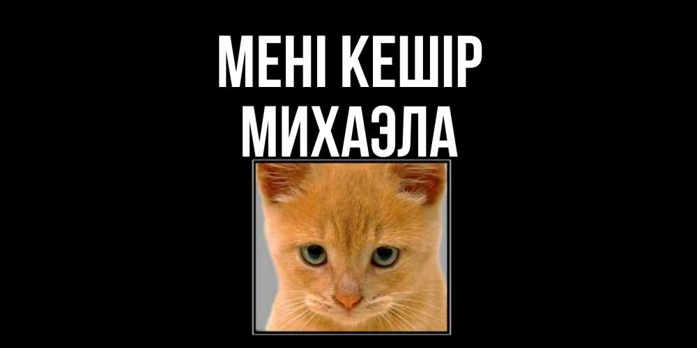 Күн сайын ашық хат с именем, Михаэла Мені кешір рыжий грустный кот просит прощения Онлайн тегін жүктеп алу тілектері бар керемет карта 