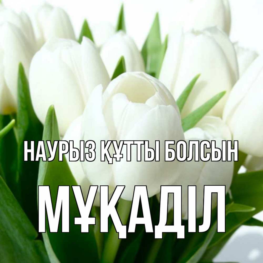 Күн сайын ашық хат с именем, МҰҚАДІЛ Наурыз құтты болсын цветы Онлайн тегін жүктеп алу тілектері бар керемет карта 