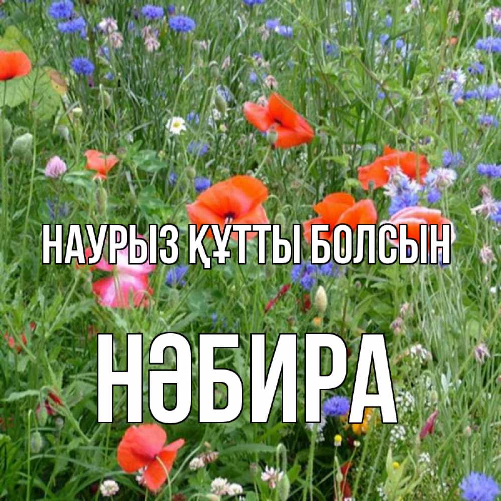 Күн сайын ашық хат с именем, НӘБИРА Наурыз құтты болсын наурыз  4 Онлайн тегін жүктеп алу тілектері бар керемет карта 