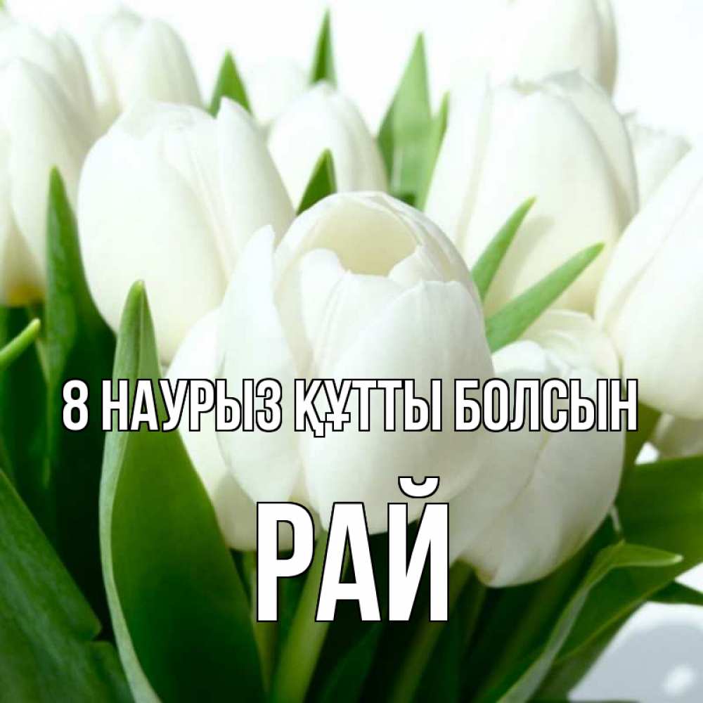 Күн сайын ашық хат с именем, РАЙ 8 наурыз құтты болсын цветы Онлайн тегін жүктеп алу тілектері бар керемет карта 