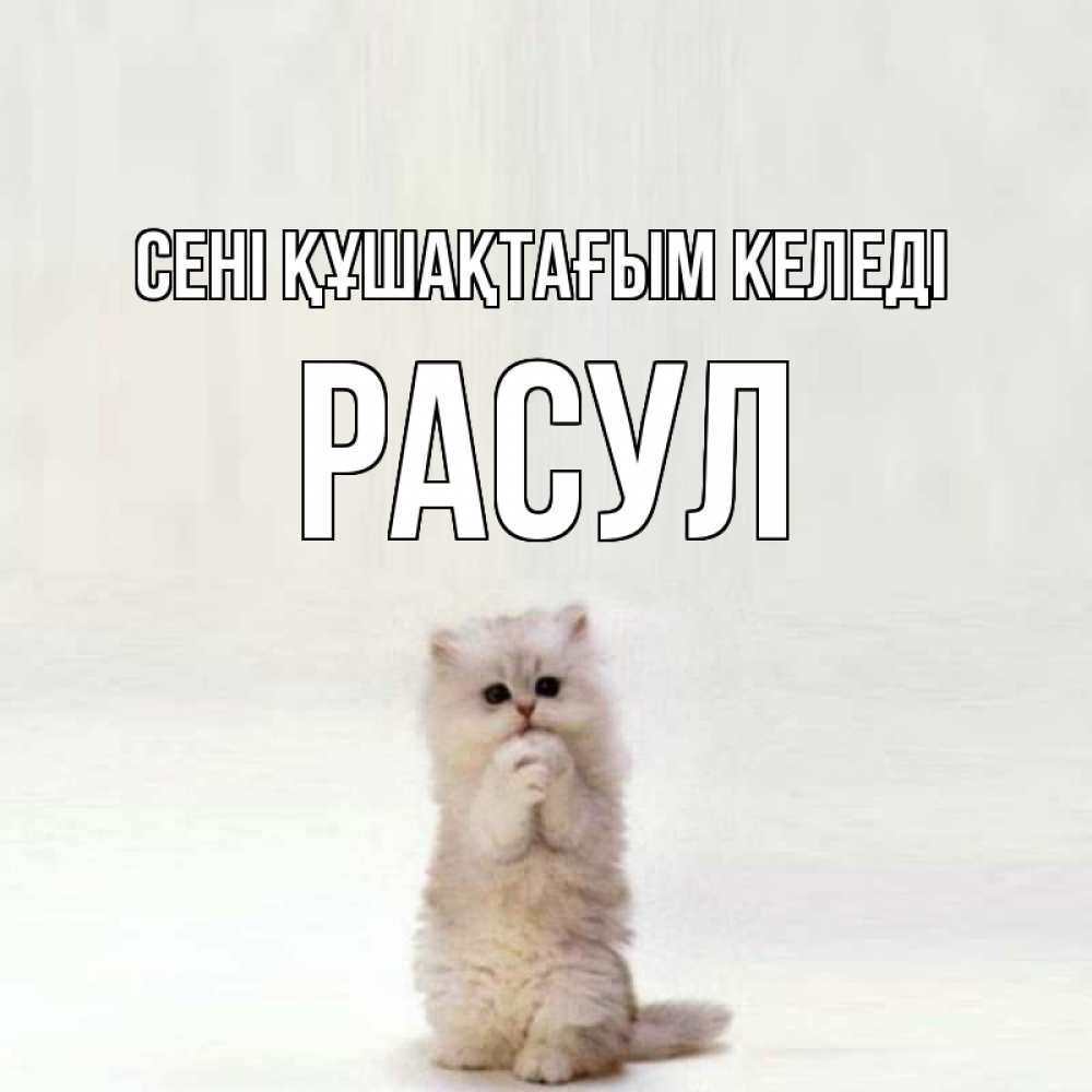 Күн сайын ашық хат с именем, РАСУЛ сені құшақтағым келеді открытки с креативными подписями Онлайн тегін жүктеп алу тілектері бар керемет карта 