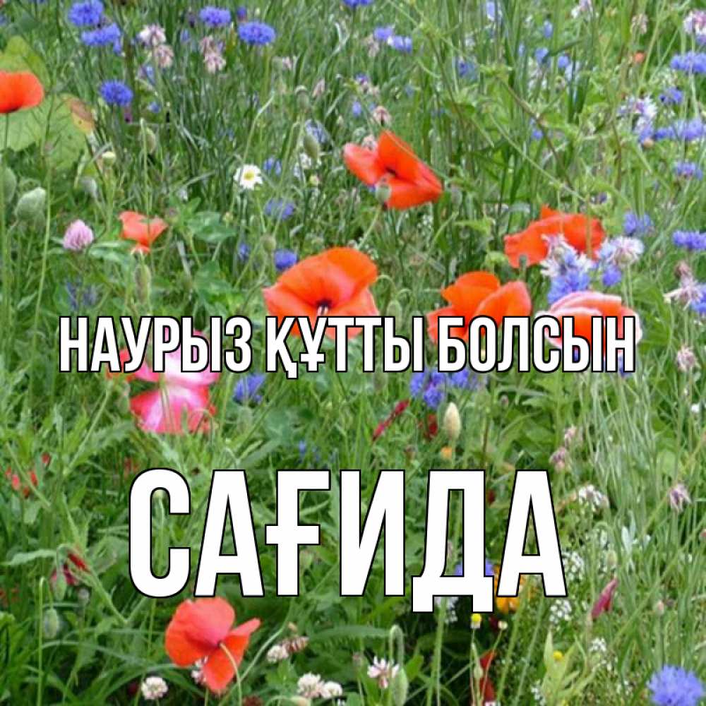 Күн сайын ашық хат с именем, САҒИДА Наурыз құтты болсын наурыз  4 Онлайн тегін жүктеп алу тілектері бар керемет карта 