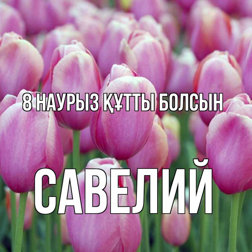 Күн сайын ашық хат с именем, Савелий 8 наурыз құтты болсын на международный женский день 3 Онлайн тегін жүктеп алу тілектері бар керемет карта 