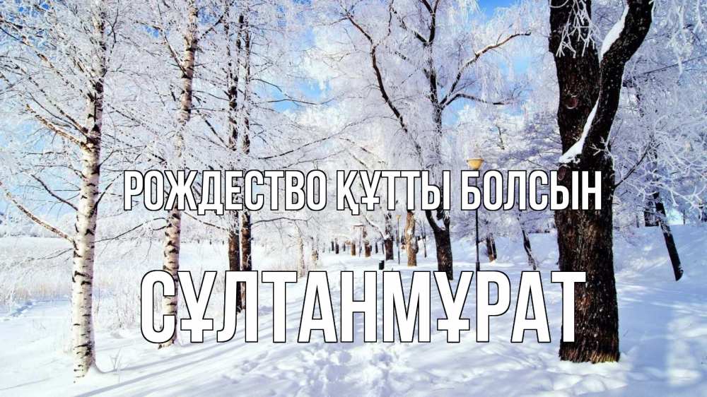 Күн сайын ашық хат с именем, СҰЛТАНМҰРАТ Рождество құтты болсын зимний лес Онлайн тегін жүктеп алу тілектері бар керемет карта 