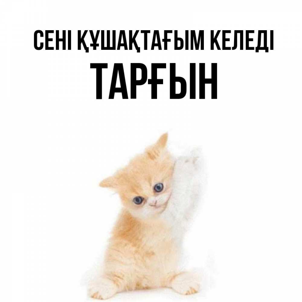Күн сайын ашық хат с именем, ТАРҒЫН сені құшақтағым келеді я хочу очень скорее обнимаешек Онлайн тегін жүктеп алу тілектері бар керемет карта 