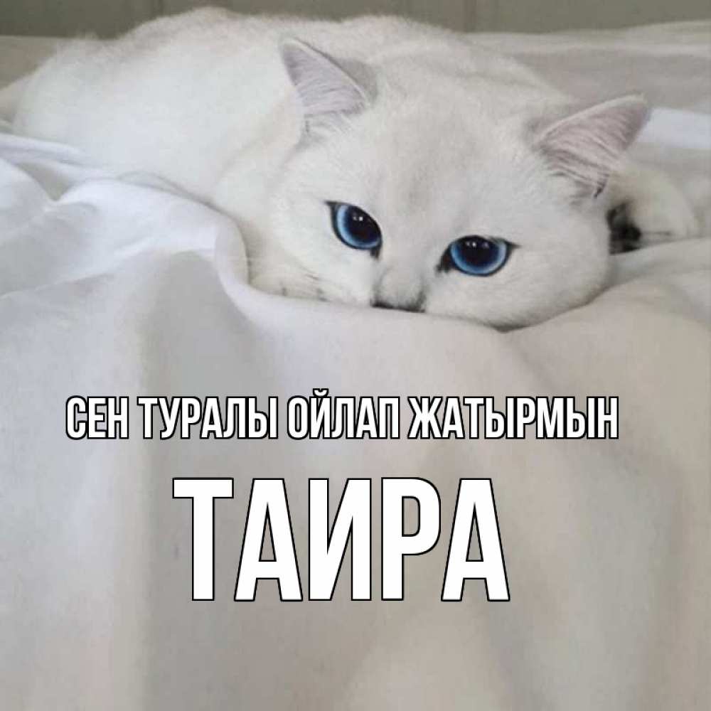 Күн сайын ашық хат с именем, Таира Сен туралы ойлап жатырмын я очень по тебе скучаю и тоскую Онлайн тегін жүктеп алу тілектері бар керемет карта 