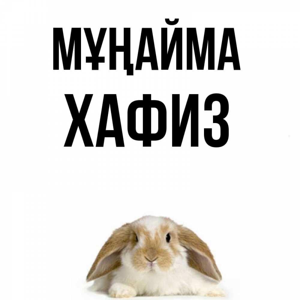 Күн сайын ашық хат с именем, ХАФИЗ Мұңайма коричнево белый заяц с большими ушками Онлайн тегін жүктеп алу тілектері бар керемет карта 