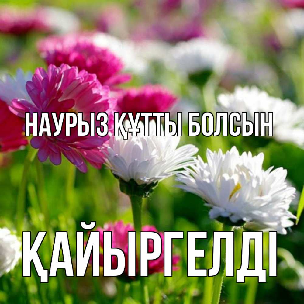 Күн сайын ашық хат с именем, Қайыргелді Наурыз құтты болсын наурыз Онлайн тегін жүктеп алу тілектері бар керемет карта 