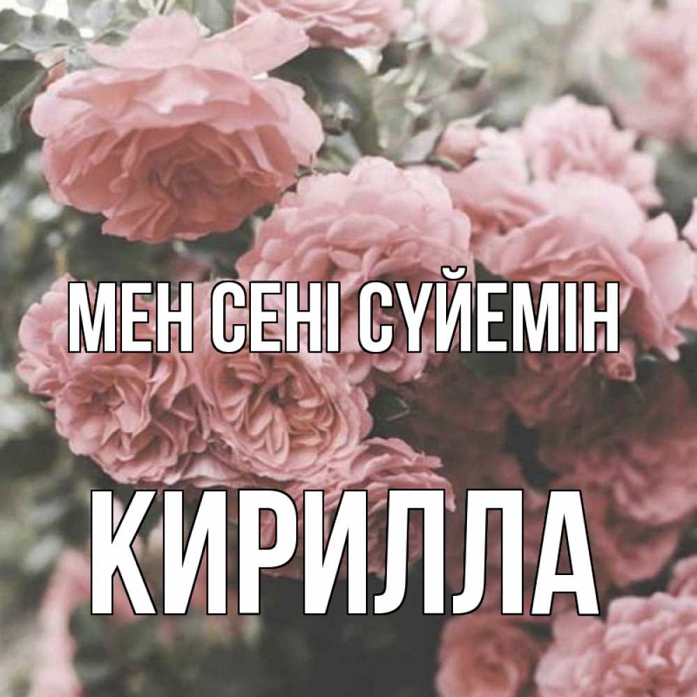Күн сайын ашық хат с именем, Кирилла Мен сені сүйемін розы 3 Онлайн тегін жүктеп алу тілектері бар керемет карта 