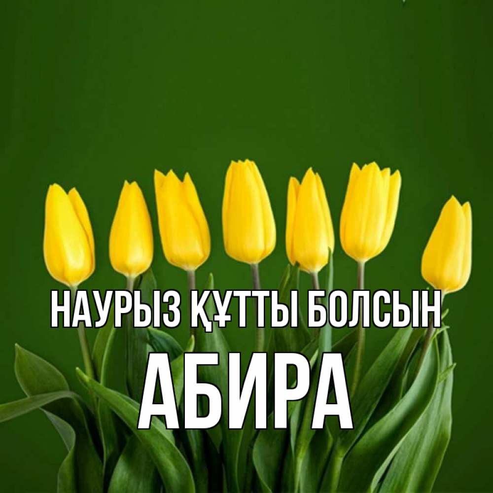 Күн сайын ашық хат с именем, АБИРА Наурыз құтты болсын желтого цвета 3 Онлайн тегін жүктеп алу тілектері бар керемет карта 