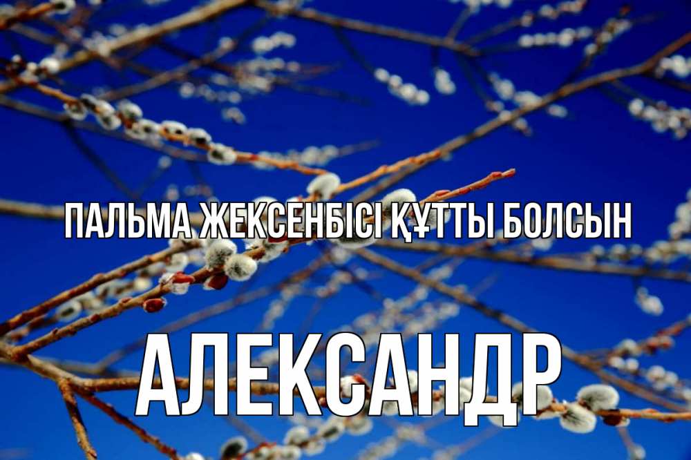 Күн сайын ашық хат с именем, Александр Пальма жексенбісі құтты болсын верба Онлайн тегін жүктеп алу тілектері бар керемет карта 