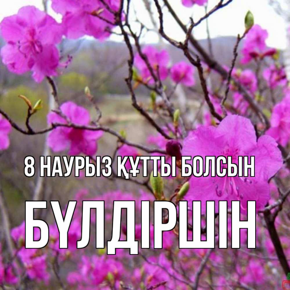Күн сайын ашық хат с именем, БҮЛДІРШІН 8 наурыз құтты болсын международный женский день Онлайн тегін жүктеп алу тілектері бар керемет карта 