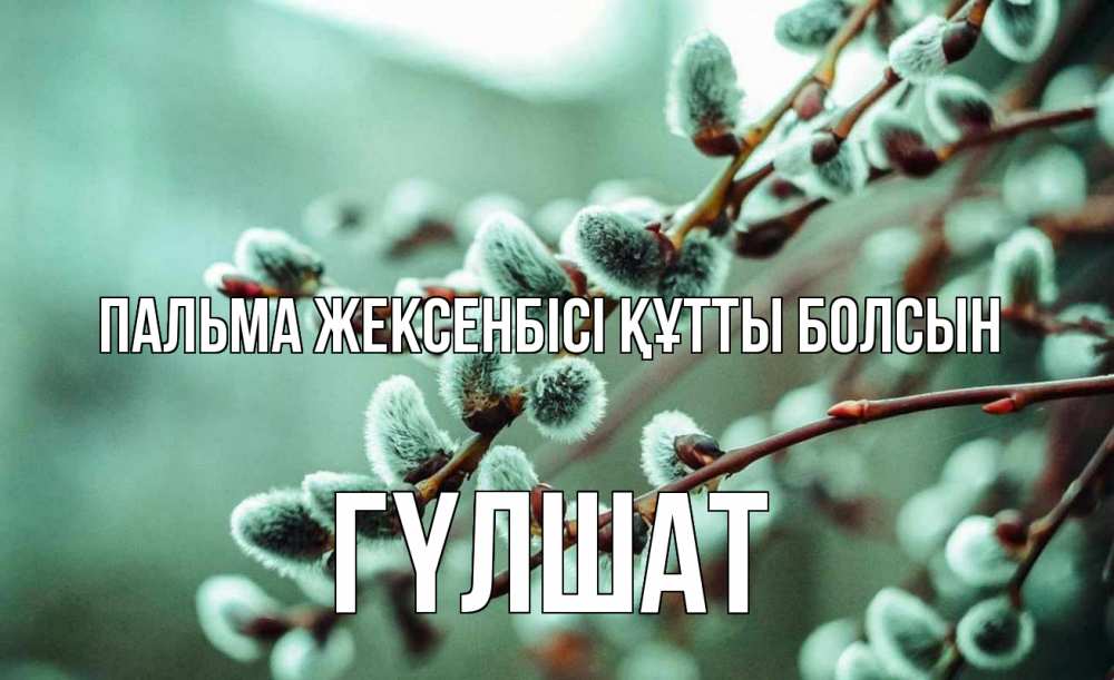 Күн сайын ашық хат с именем, ГҮЛШАТ Пальма жексенбісі құтты болсын верба Онлайн тегін жүктеп алу тілектері бар керемет карта 