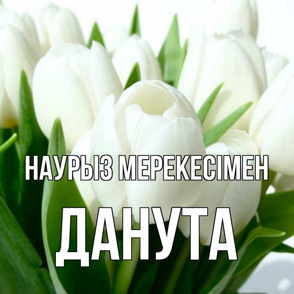Күн сайын ашық хат с именем, Данута Наурыз мерекесімен цветы Онлайн тегін жүктеп алу тілектері бар керемет карта 