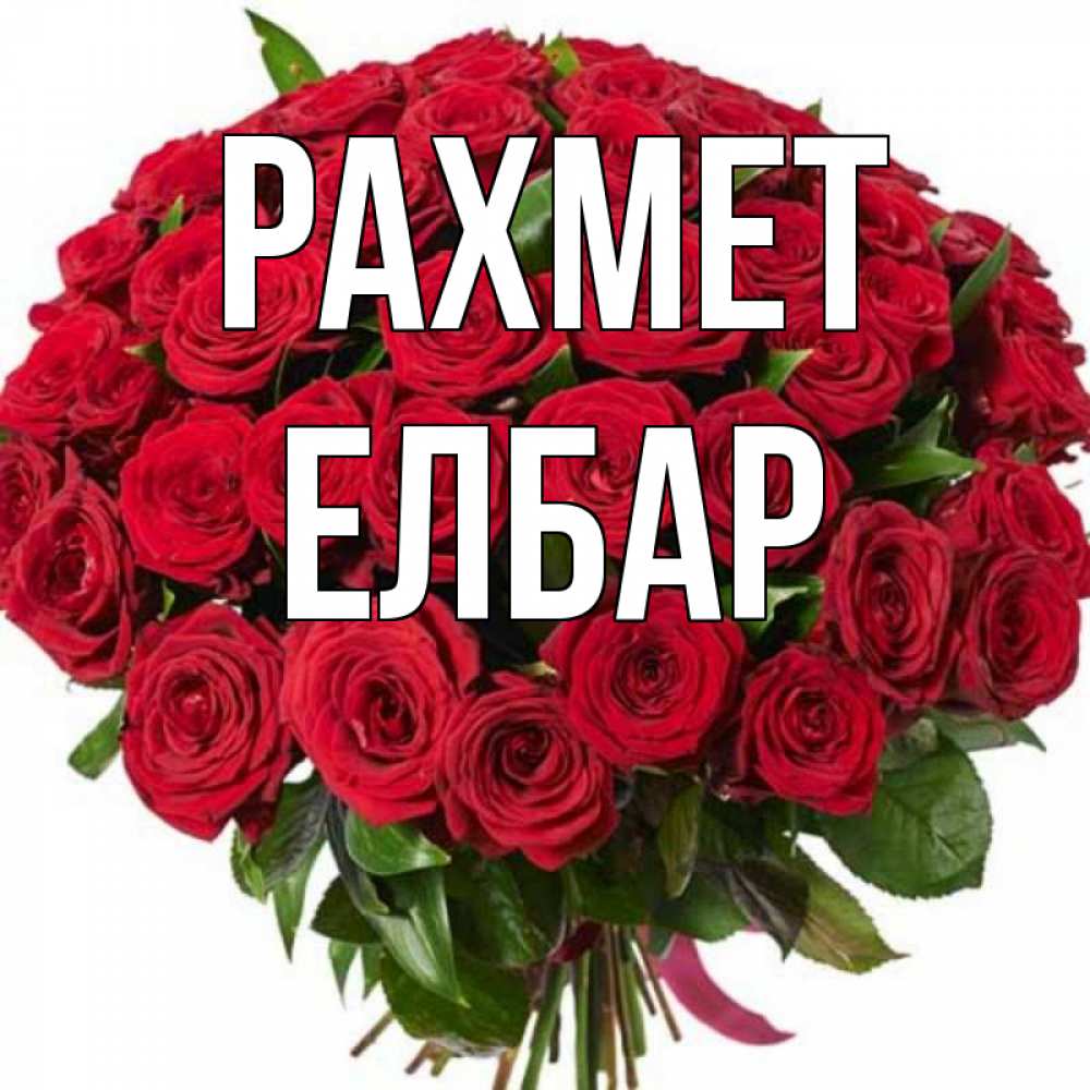 Күн сайын ашық хат с именем, Елбар рахмет букет красных роз Онлайн тегін жүктеп алу тілектері бар керемет карта 