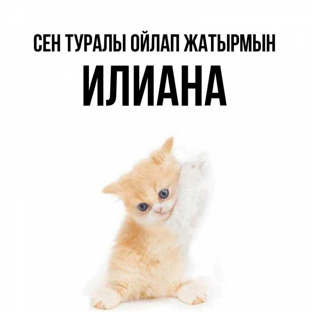 Күн сайын ашық хат с именем, Илиана Сен туралы ойлап жатырмын зверушки и милота Онлайн тегін жүктеп алу тілектері бар керемет карта 