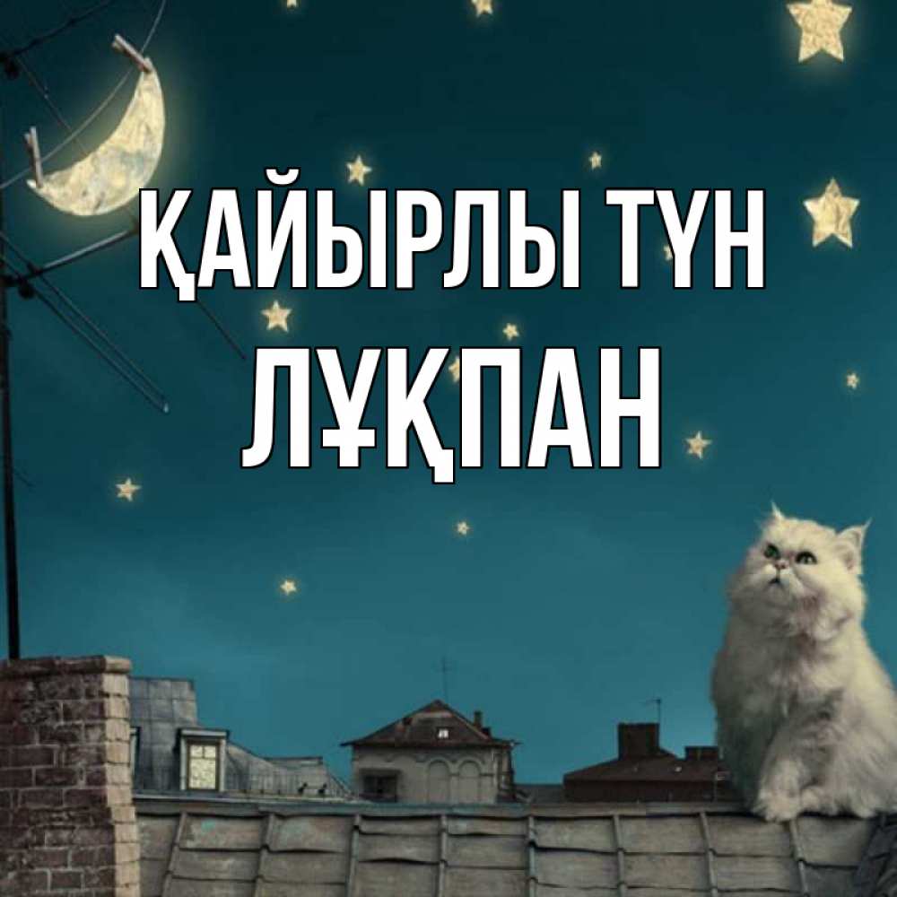 Күн сайын ашық хат с именем, ЛҰҚПАН Қайырлы түн белый кот сидит на крыше Онлайн тегін жүктеп алу тілектері бар керемет карта 