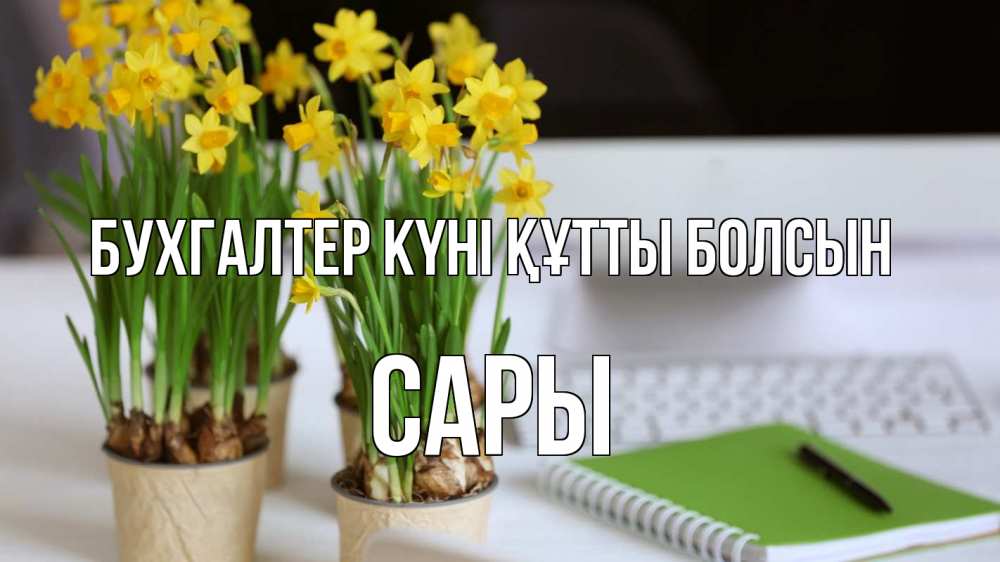 Күн сайын ашық хат с именем, САРЫ бухгалтер күні құтты болсын с днем бухгалтера Онлайн тегін жүктеп алу тілектері бар керемет карта 