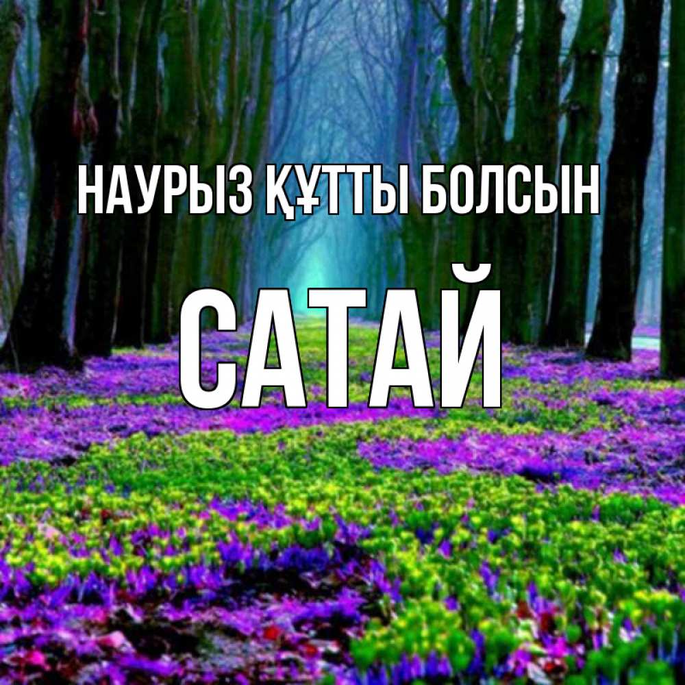 Күн сайын ашық хат с именем, САТАЙ Наурыз құтты болсын фиолетовые цветы в лесу 1 Онлайн тегін жүктеп алу тілектері бар керемет карта 