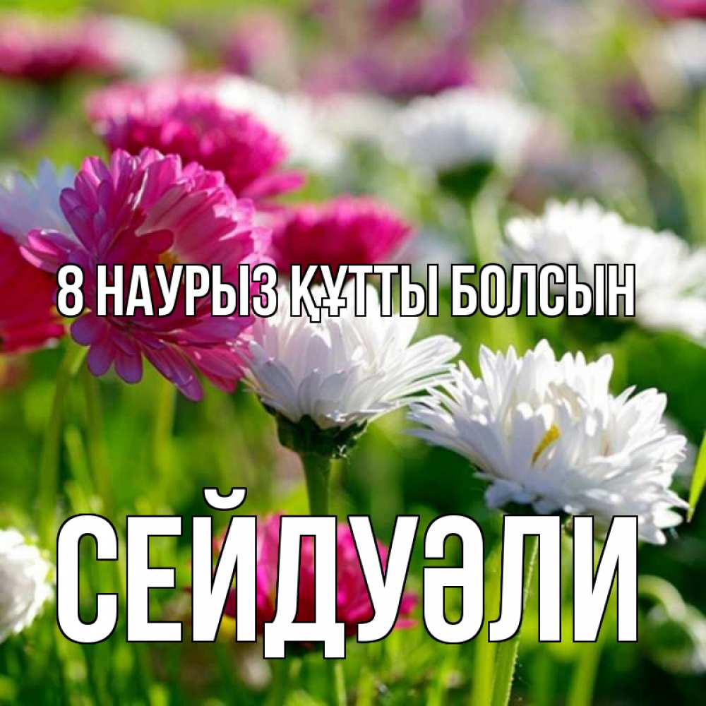 Күн сайын ашық хат с именем, СЕЙДУӘЛИ 8 наурыз құтты болсын международный женский день 1 Онлайн тегін жүктеп алу тілектері бар керемет карта 
