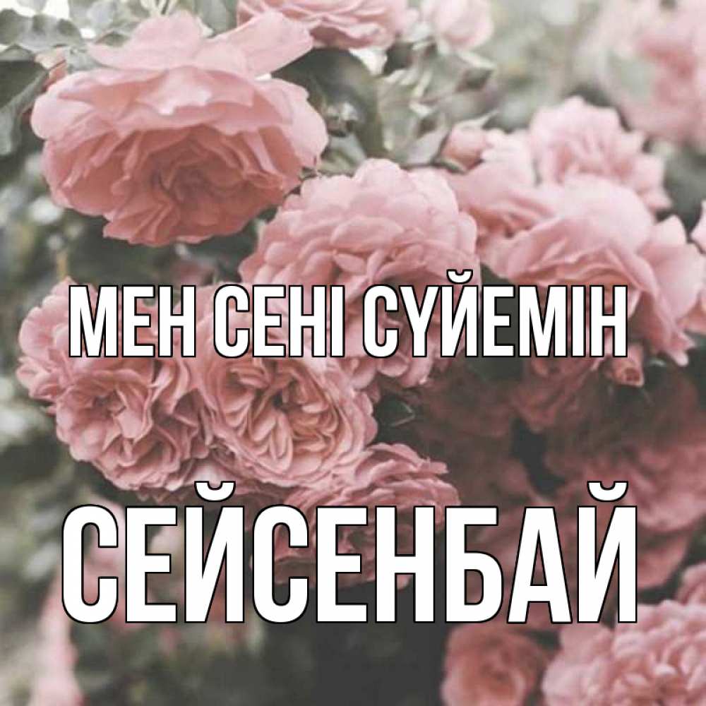 Күн сайын ашық хат с именем, СЕЙСЕНБАЙ Мен сені сүйемін розы 3 Онлайн тегін жүктеп алу тілектері бар керемет карта 