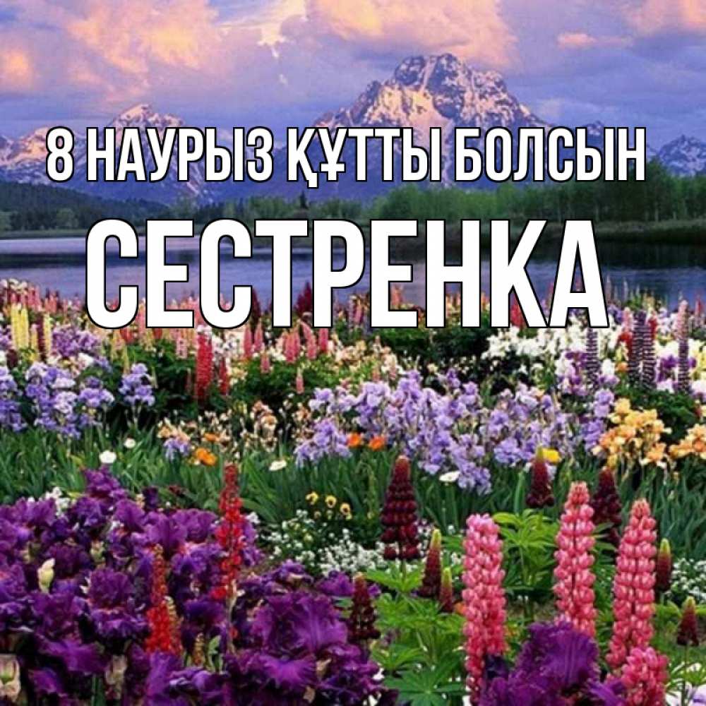 Күн сайын ашық хат с именем, Сестренка 8 наурыз құтты болсын международный женский день Онлайн тегін жүктеп алу тілектері бар керемет карта 