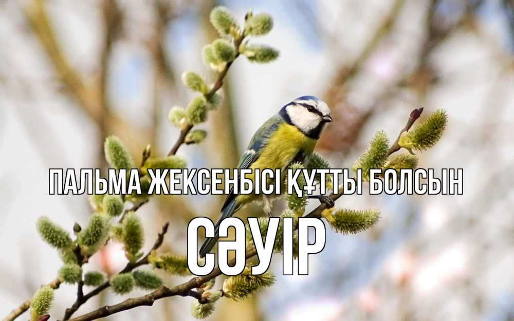 Күн сайын ашық хат с именем, СӘУІР Пальма жексенбісі құтты болсын верба Онлайн тегін жүктеп алу тілектері бар керемет карта 