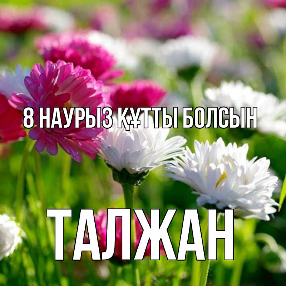 Күн сайын ашық хат с именем, ТАЛЖАН 8 наурыз құтты болсын международный женский день 1 Онлайн тегін жүктеп алу тілектері бар керемет карта 