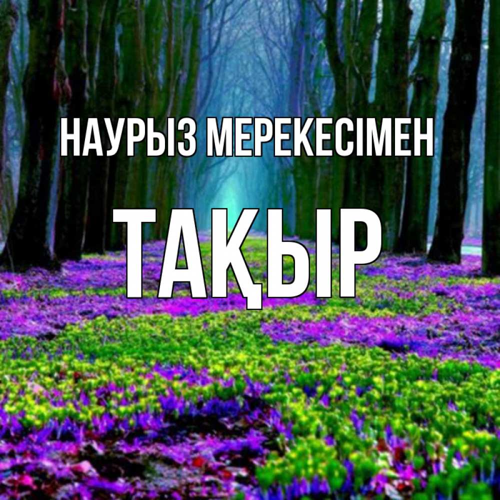 Күн сайын ашық хат с именем, ТАҚЫР Наурыз мерекесімен фиолетовые цветы в лесу 1 Онлайн тегін жүктеп алу тілектері бар керемет карта 
