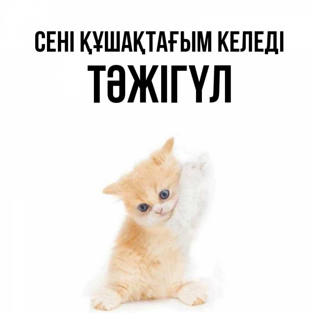 Күн сайын ашық хат с именем, ТӘЖІГҮЛ сені құшақтағым келеді я хочу очень скорее обнимаешек Онлайн тегін жүктеп алу тілектері бар керемет карта 