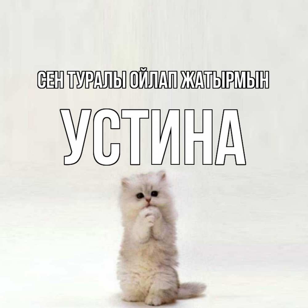 Күн сайын ашық хат с именем, Устина Сен туралы ойлап жатырмын кот стоит на задних лапах Онлайн тегін жүктеп алу тілектері бар керемет карта 
