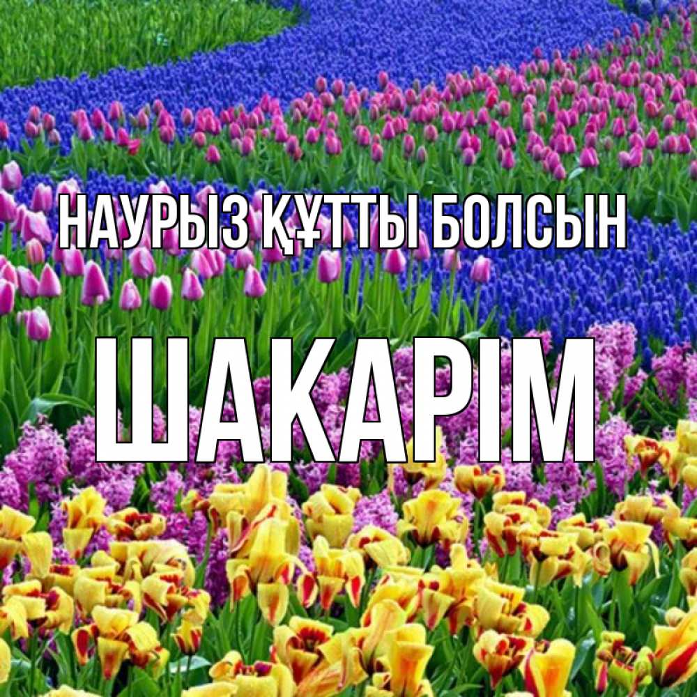 Күн сайын ашық хат с именем, ШАКАРІМ Наурыз құтты болсын цветы Онлайн тегін жүктеп алу тілектері бар керемет карта 